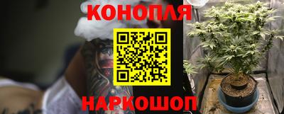mix Новозыбков