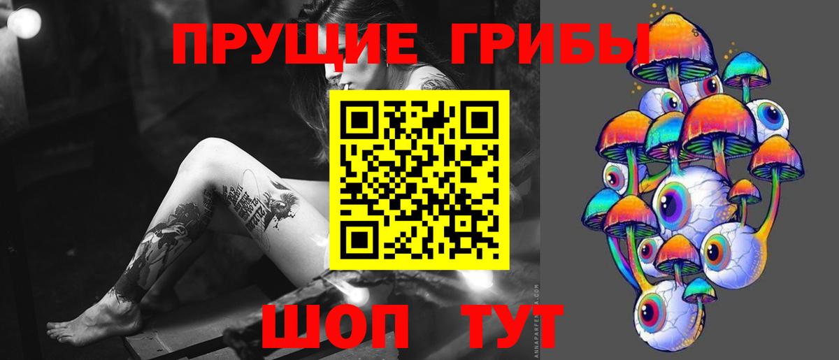 Галлюциногенные грибы Magic Shrooms  как найти закладки  Ставрополь  Вход с VPN 